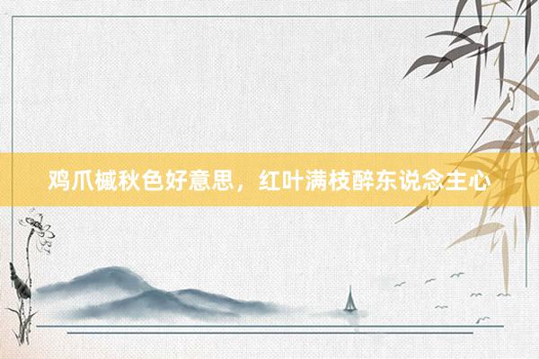 鸡爪槭秋色好意思，红叶满枝醉东说念主心
