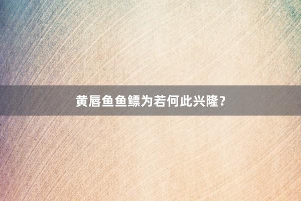 黄唇鱼鱼鳔为若何此兴隆？